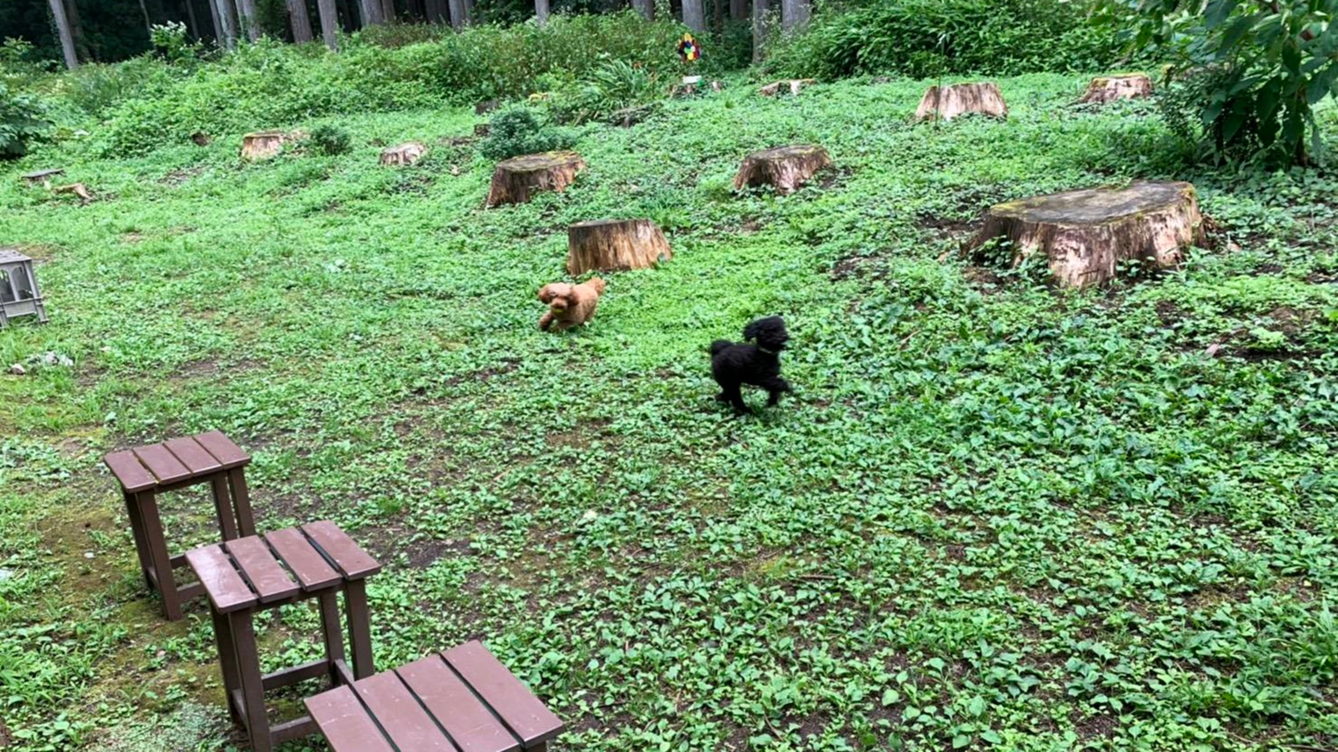 白川郷平瀬温泉　お宿　湯の里 11枚目のサムネイル