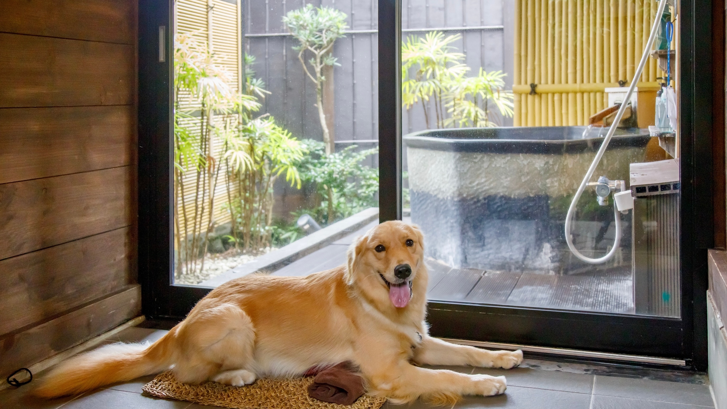 愛犬と微笑む温泉リゾート　ウブドの森　伊豆高原 8枚目のサムネイル