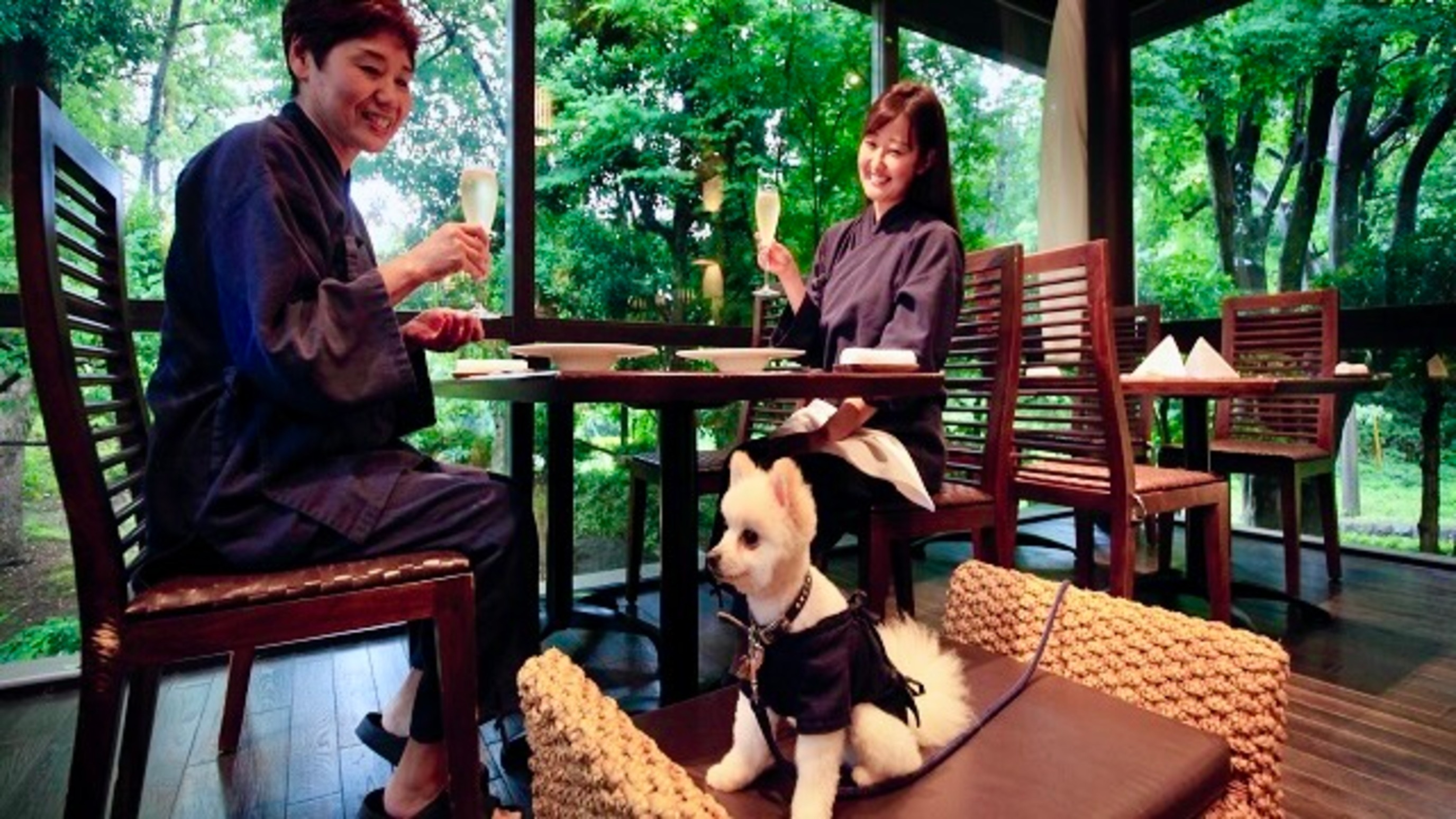 愛犬と微笑む温泉リゾート　ウブドの森　伊豆高原 12枚目のサムネイル
