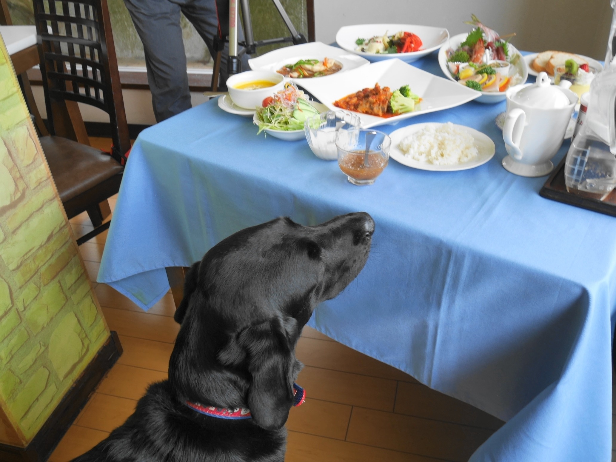 愛犬と泊まる美食と露天風呂の宿　モルゲン 5枚目のサムネイル