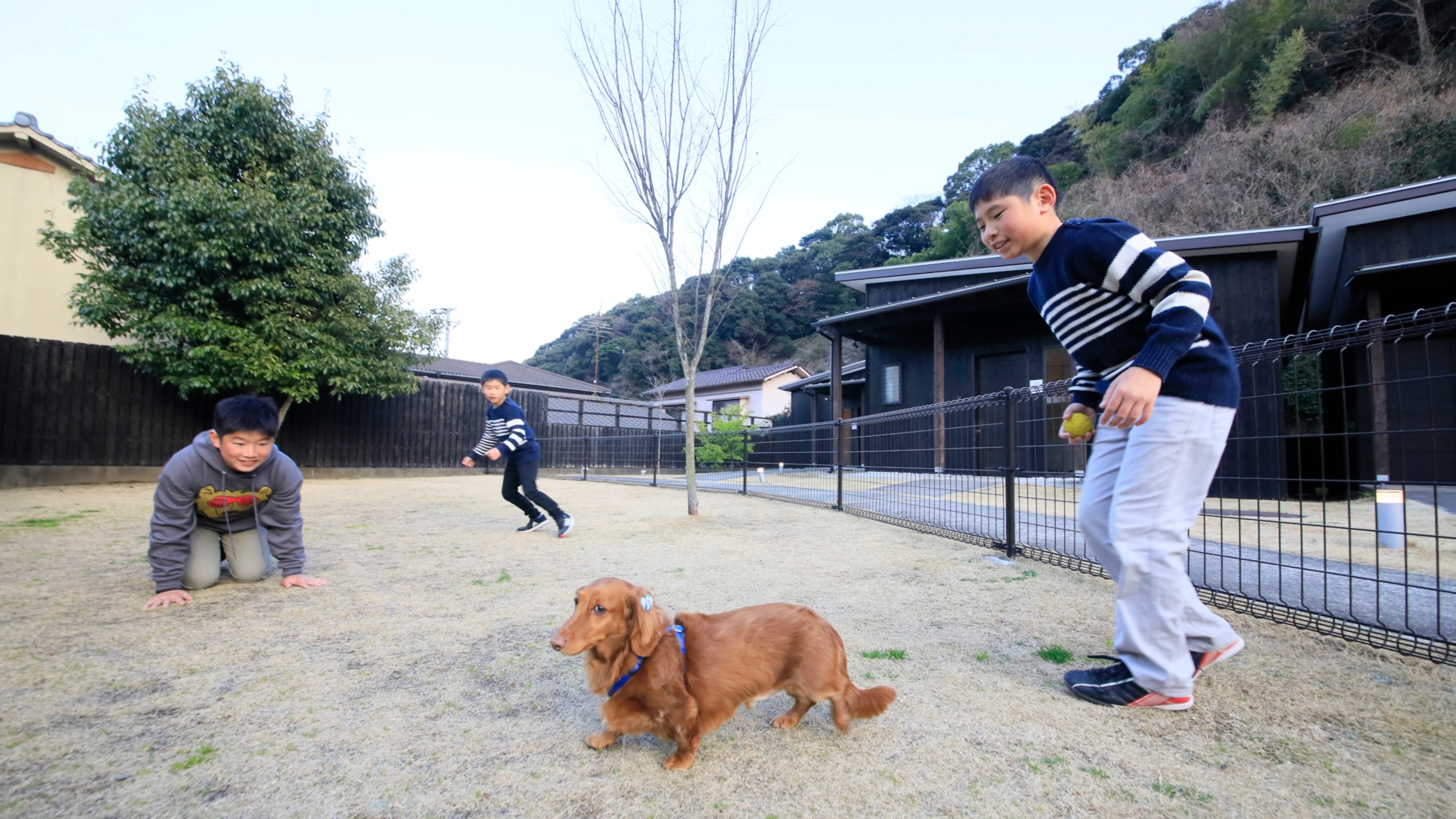 別府温泉　わんこの宿　ゆるり 15枚目のサムネイル