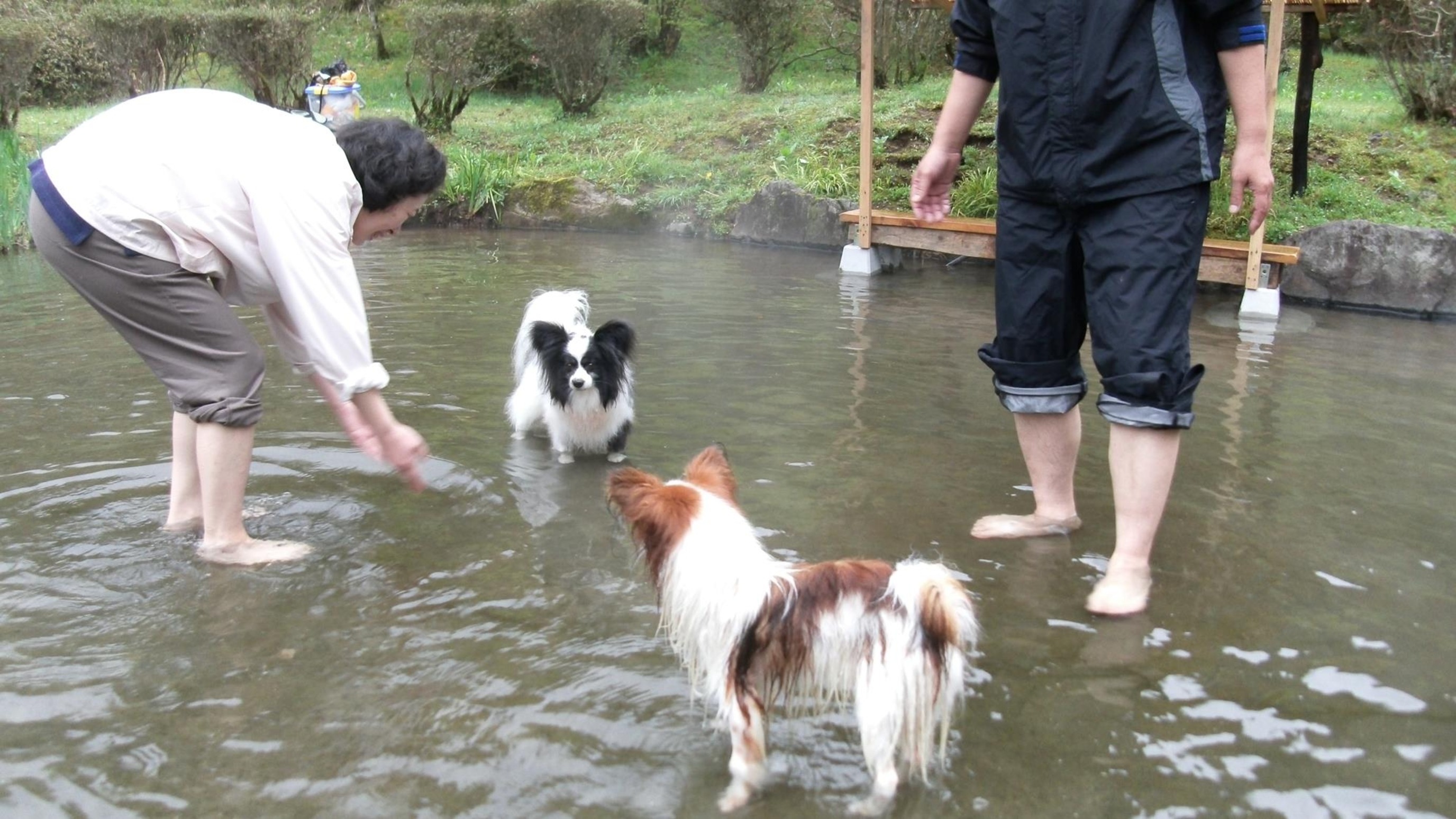 民宿水分村 12枚目のサムネイル