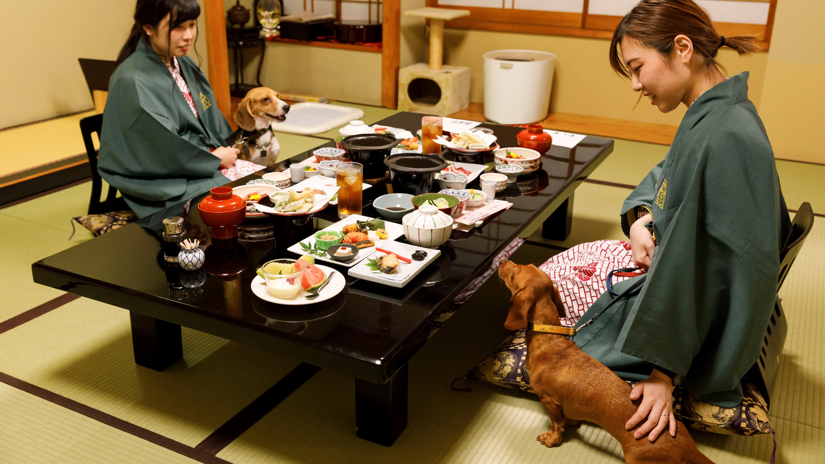 ３つのドッグランを持つ愛犬・愛猫の宿　きぬ川国際ホテル 8枚目のサムネイル