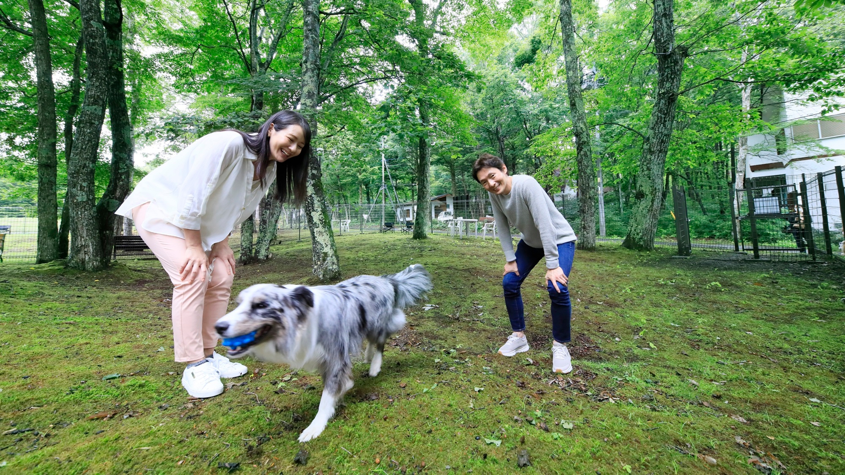 ゆとりろガーデン北軽井沢　ｗｉｔｈ　ＤＯＧＳ 12枚目のサムネイル