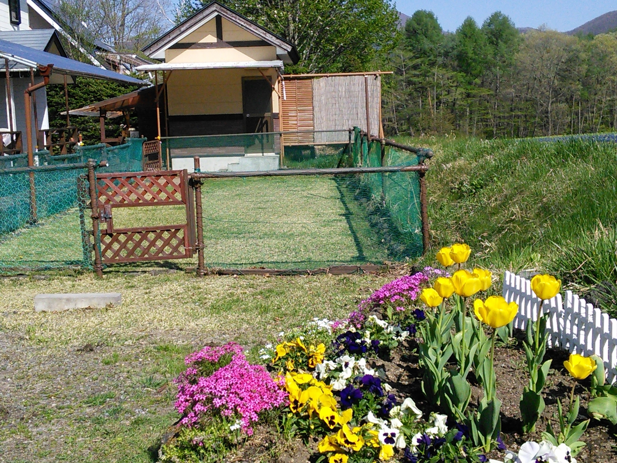 ペンション　いちばん星＜群馬県＞ 12枚目のサムネイル