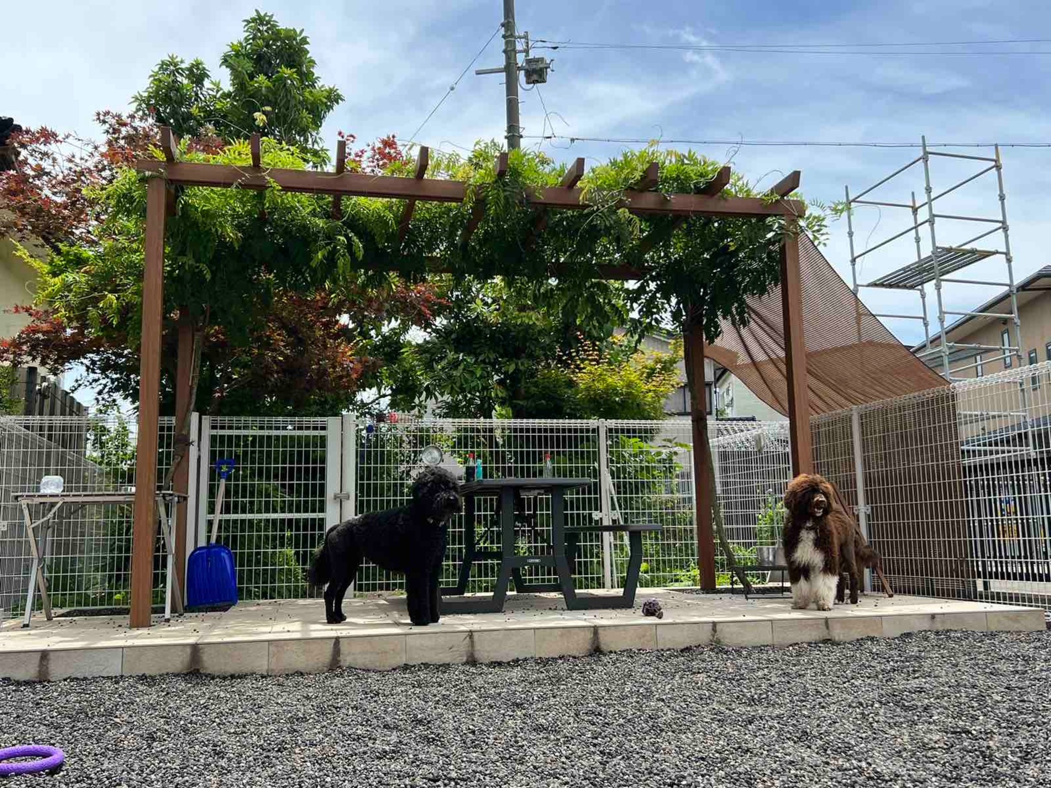 創業寛政三年　すいげつろうホテル＜となみ＞ 9枚目のサムネイル